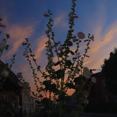 Отель Kobmandsgardens Kerteminde