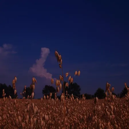 Kobmandsgardens Kerteminde